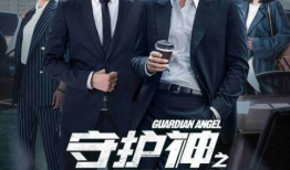 关于保险的电视剧,揭秘保险业的传奇故事