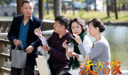 家 电视剧,家族荣耀与时代变迁