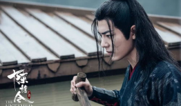 陈情令电视剧剧情介绍,探寻仙侠世界，揭秘少年侠客的成长传奇