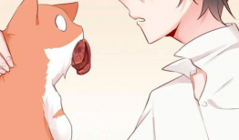 恋爱漫画全集,甜蜜爱情故事集锦